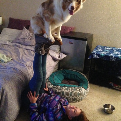 dog standing on owners feet